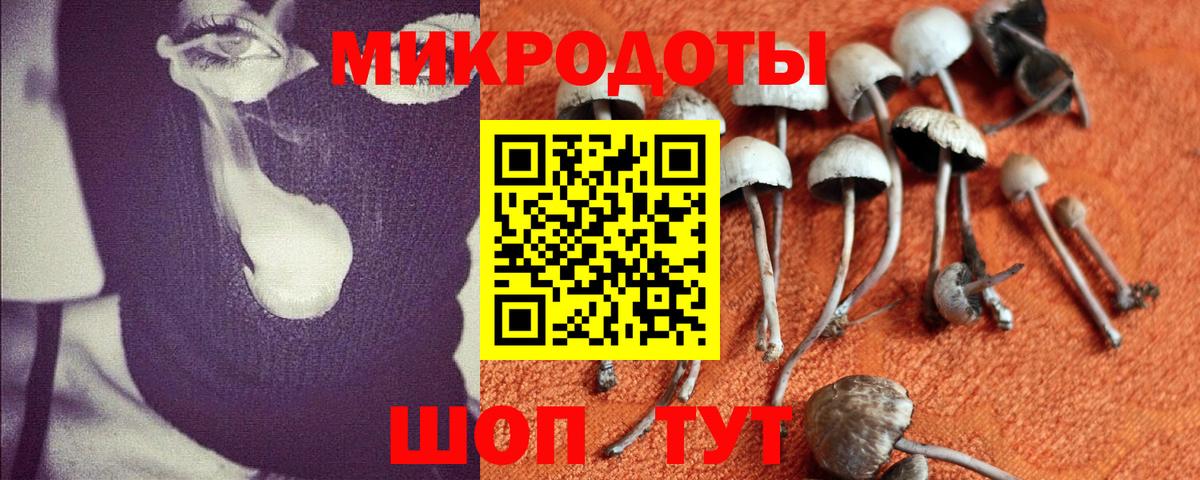 Полысаево  Псилоцибиновые грибы Psilocybe  Галлюциногенные грибы Psilocybe  Вход с VPN 