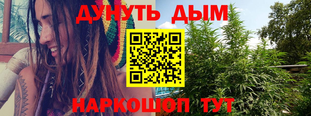 Марихуана семена  МАРИХУАНА AK-47  Полысаево  Бошки Шишки ГИДРОПОН  Конопля индика  Вход с VPN 